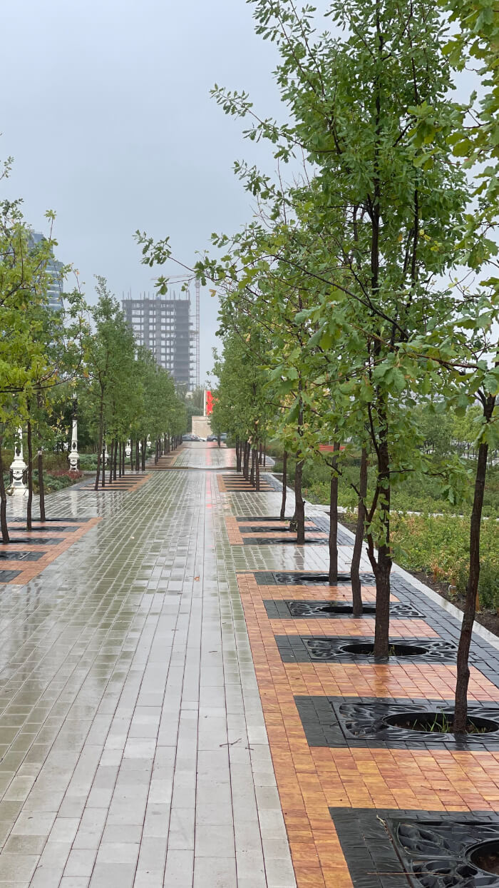 Приствольная решетка для дерева ZKING CRUST 1.2х1.2м Черная в Усть-Катаве фото