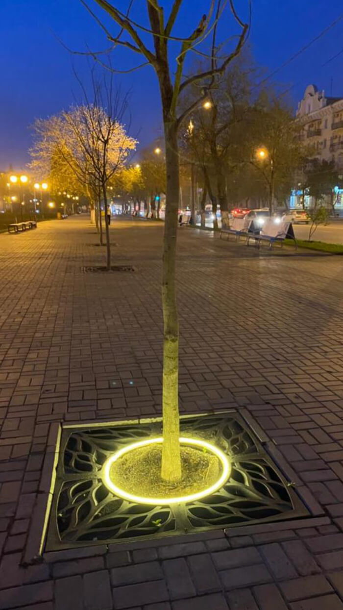 Приствольная решетка для дерева ZKING CRUST 1.2х1.2м Черная в Усть-Катаве фото